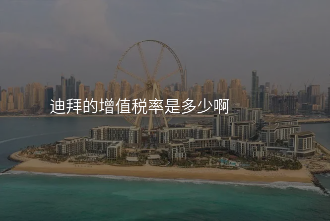 迪拜的增值税率是多少啊