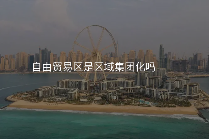 自由贸易区是区域集团化吗