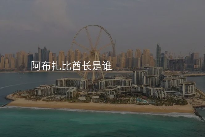 阿布扎比酋长是谁