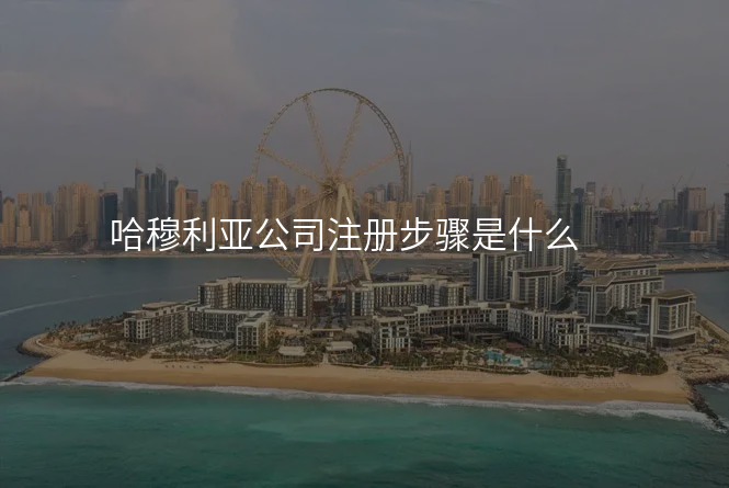 哈穆利亚公司注册步骤是什么