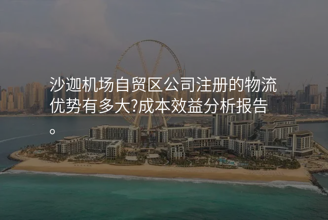 沙迦机场自贸区公司注册的物流优势有多大?成本效益分析报告。
