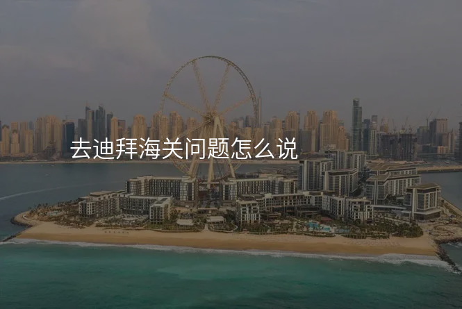 去迪拜海关问题怎么说