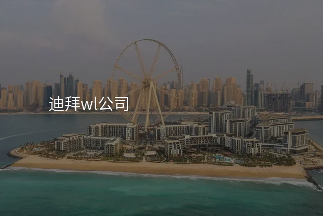 迪拜wl公司