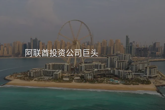 阿联酋投资公司巨头