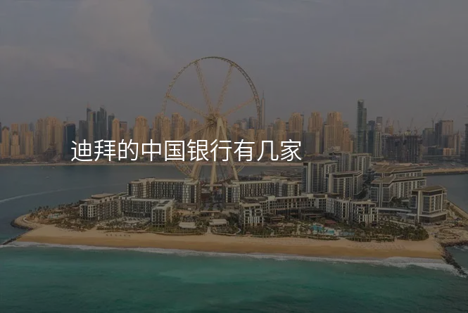 迪拜的中国银行有几家
