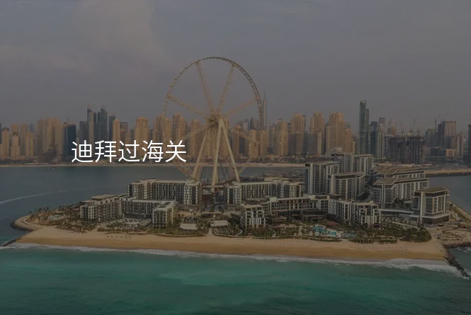 迪拜过海关
