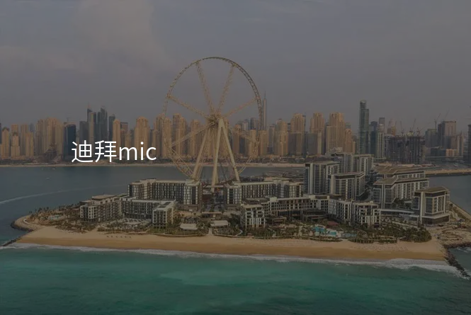 迪拜mic