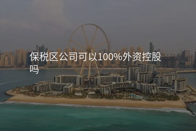 保税区公司可以100%外资控股吗