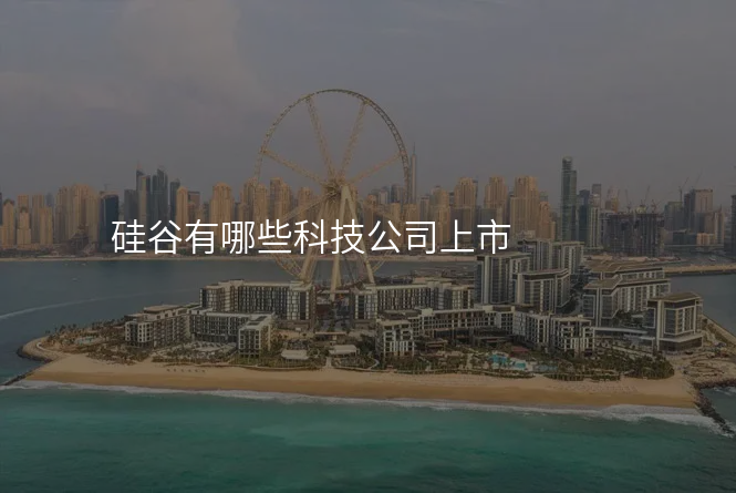 硅谷有哪些科技公司上市