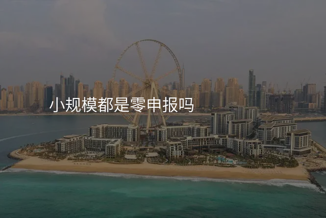 小规模都是零申报吗