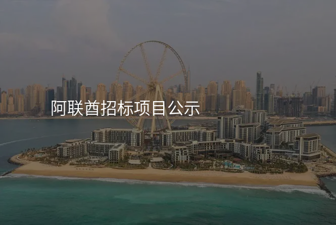 阿联酋招标项目公示