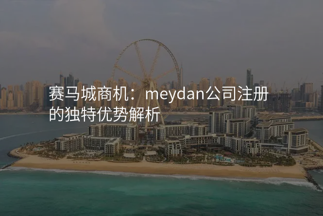 赛马城商机:meydan公司注册的独特优势解析