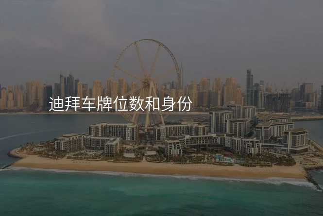 迪拜车牌位数和身份