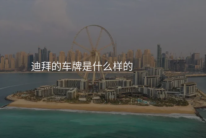 迪拜的车牌是什么样的