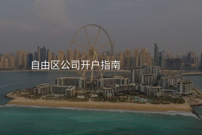 自由区公司开户指南