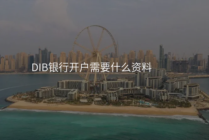 DIB银行开户需要什么资料