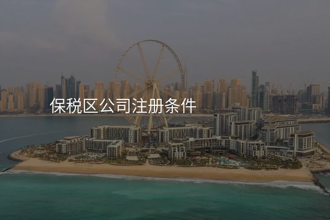 保税区公司注册条件