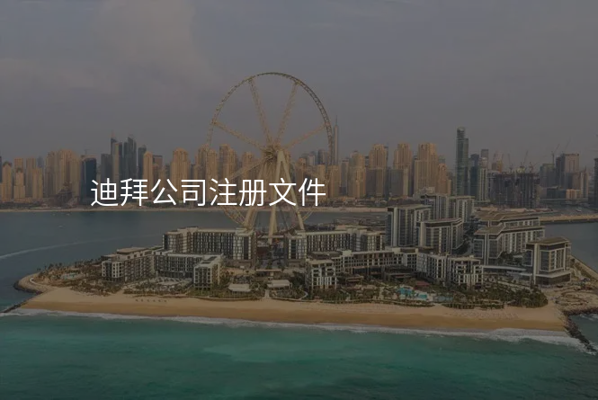 迪拜公司注册文件