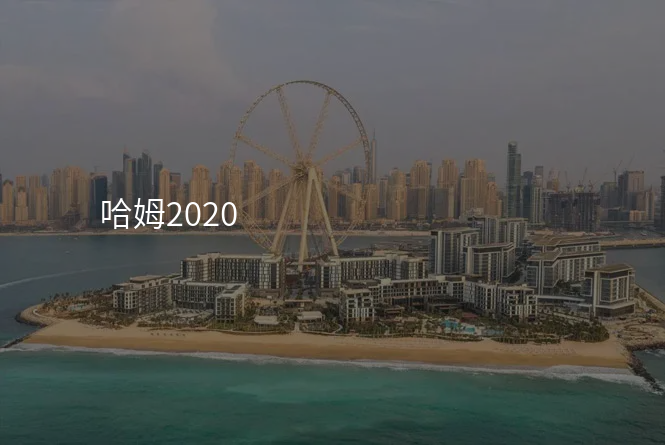 哈姆2020