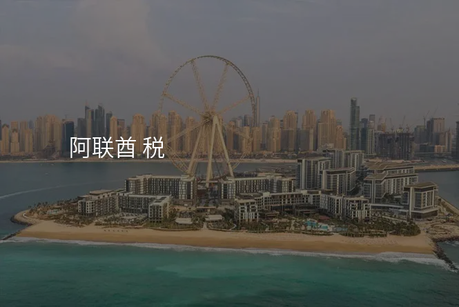 阿联酋 税