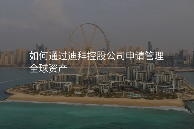 如何通过迪拜控股公司申请管理全球资产