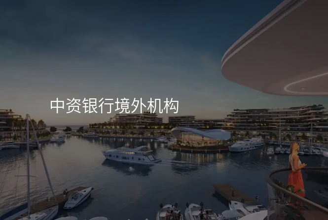 中资银行境外机构