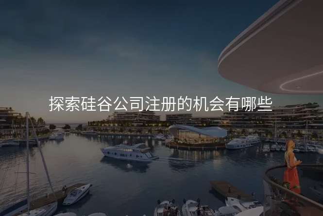 探索硅谷公司注册的机会有哪些