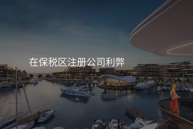 在保税区注册公司利弊
