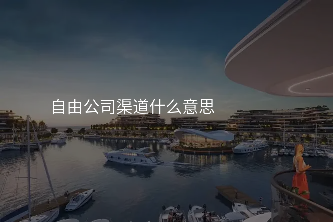 自由公司渠道什么意思