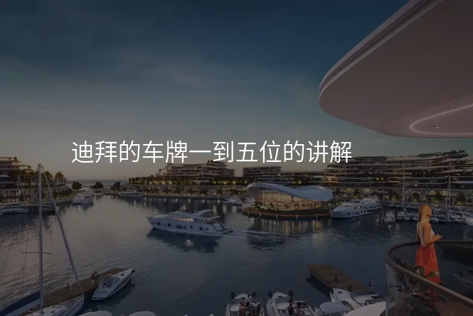 迪拜的车牌一到五位的讲解