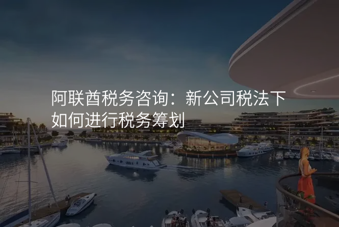 阿联酋税务咨询:新公司税法下如何进行税务筹划