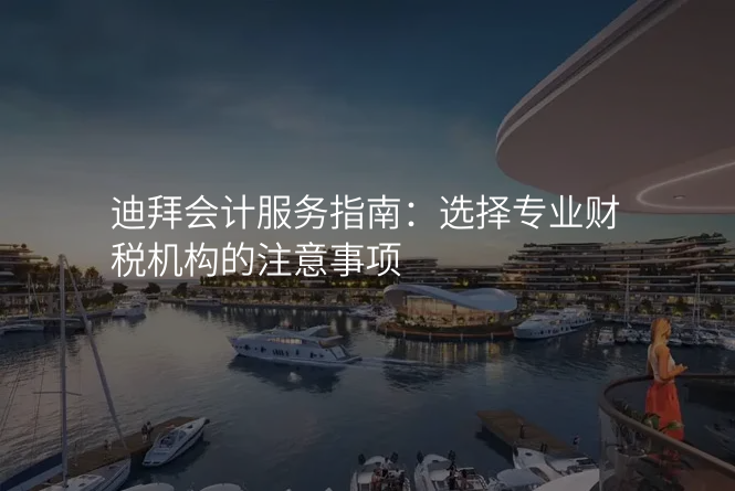 迪拜会计服务指南:选择专业财税机构的注意事项