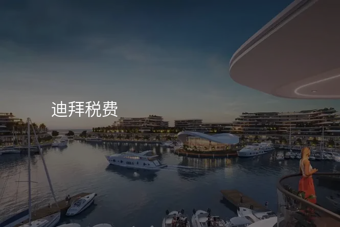 迪拜税费
