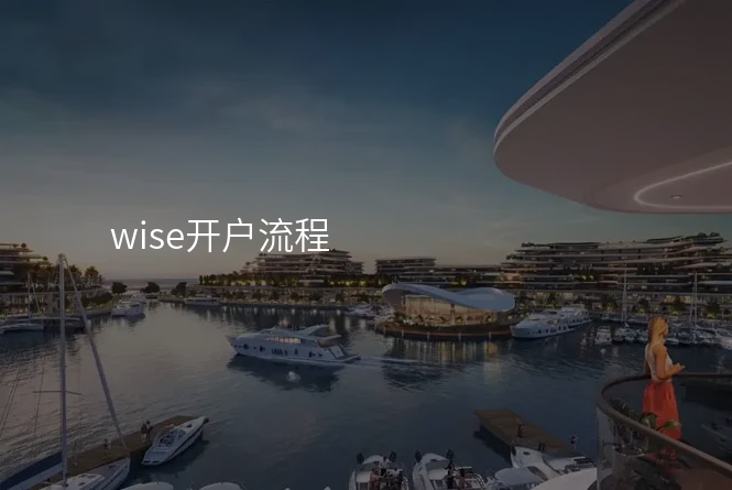 wise开户流程