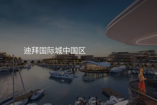 迪拜国际城中国区