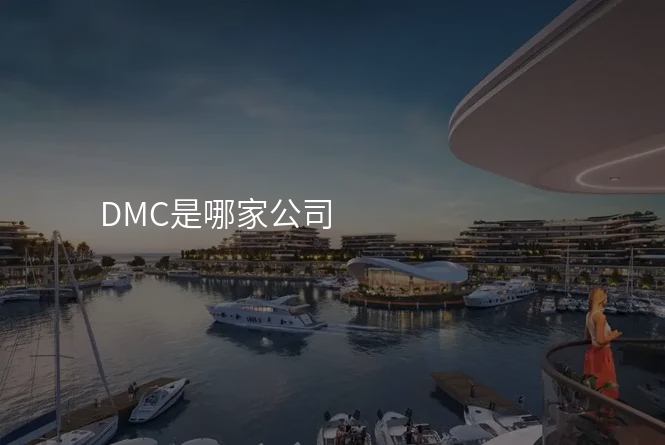 DMC是哪家公司