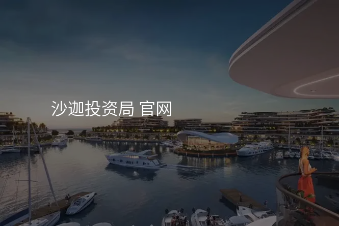 沙迦投资局 官网