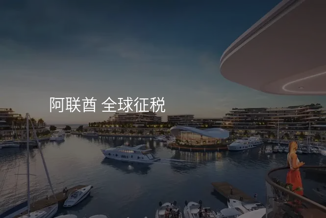 阿联酋 全球征税