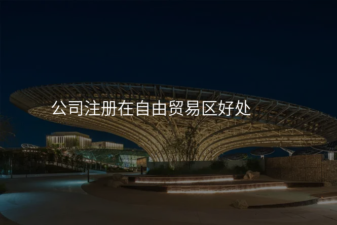 公司注册在自由贸易区好处