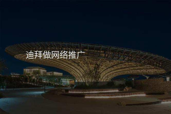 迪拜做网络推广