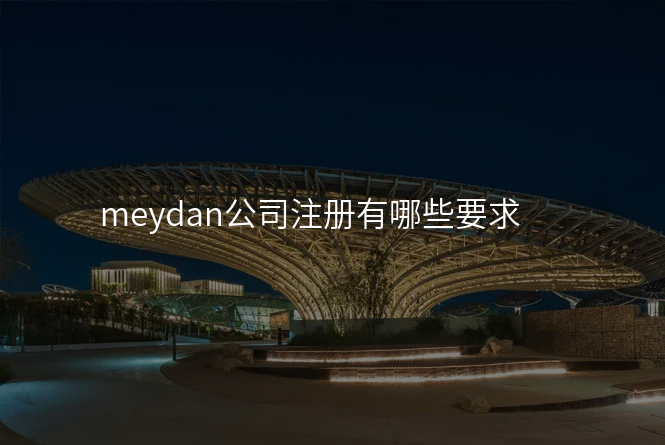 meydan公司注册有哪些要求