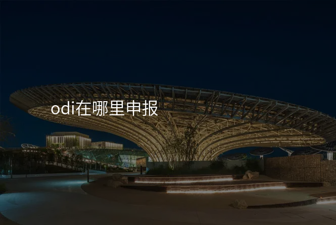 odi在哪里申报