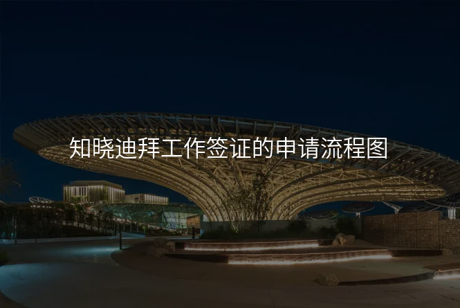 知晓迪拜工作签证的申请流程图