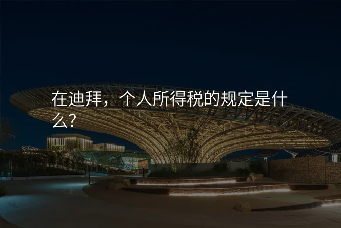 在迪拜,个人所得税的规定是什么?