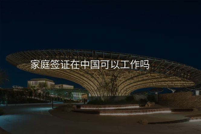 家庭签证在中国可以工作吗