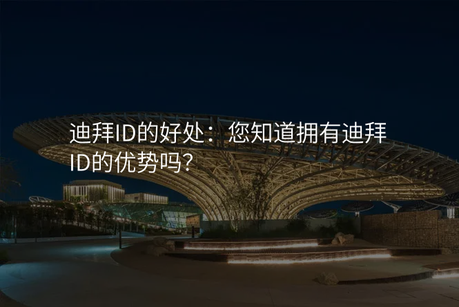 迪拜ID的好处:您知道拥有迪拜ID的优势吗?