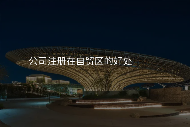 公司注册在自贸区的好处