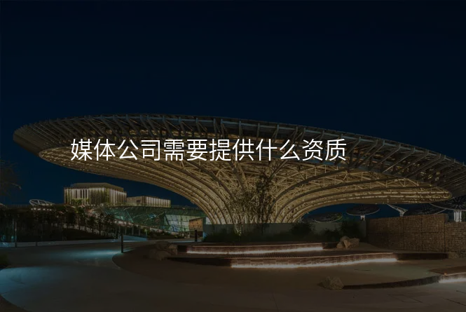 媒体公司需要提供什么资质