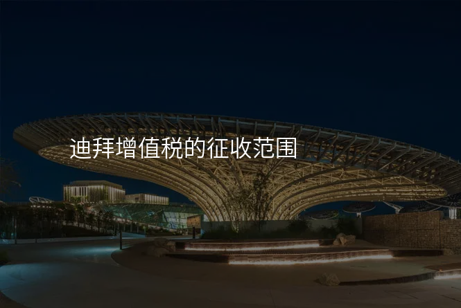 迪拜增值税的征收范围