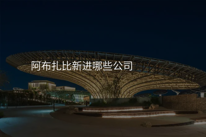 阿布扎比新进哪些公司